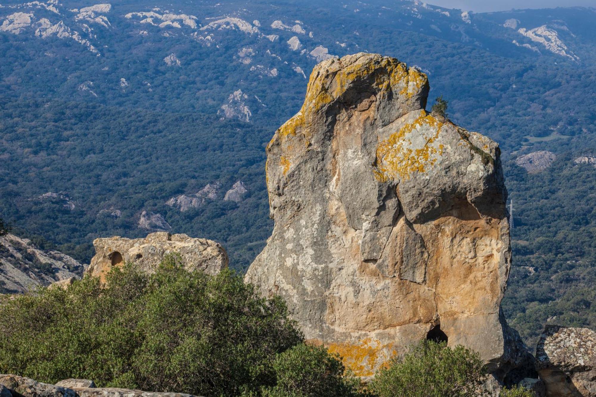 Apartmán Casita De La Suerte Medina-Sidonia Exteriér fotografie